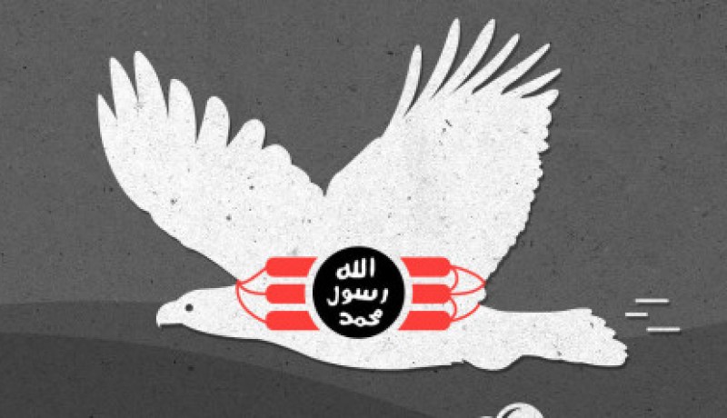 الطيور الانتحارية أحدث أفكار داعش لمهاجمة الطائرات الحربية الأميركية