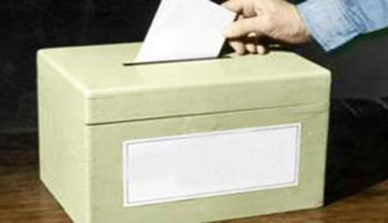 المرحلة الأولى من انتخابات مجلس الشورى المصري تنطلق غدا