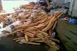 22 مليون خبزة يوميا مصيرها المزابل