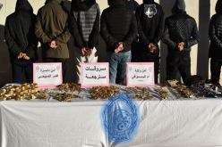 الإطاحة بشبكة إجرامية مختصة في سرقة المحلات بأم البواقي