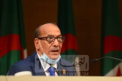 فنيش: المحكمة الدستورية ستواصل مهمة ضمان إحترام الدستور