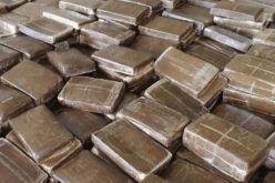 توقيف 7 بارونات مخدرات وحجز حوالي قنطار زطلة في هذه الولايات