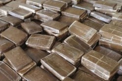 توقيف 10 بارونات مخدرات وحجز أزيد من 5 قناطير زطلة بعدة ولايات
