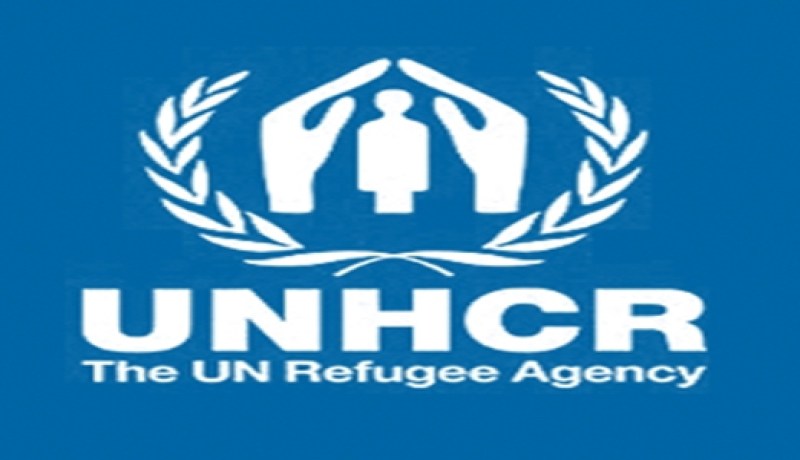 عدد النازحين السوريين إلى شمال لبنان بلغ 5663 شخص