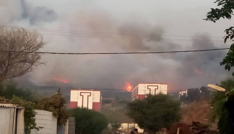 بالفيديو والصور..فرار عشرات العائلات ببومرداس جراء حرائق الغابات