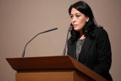سفيرة سوريا في قبرص لمياء الحريري تنشق عن النظام