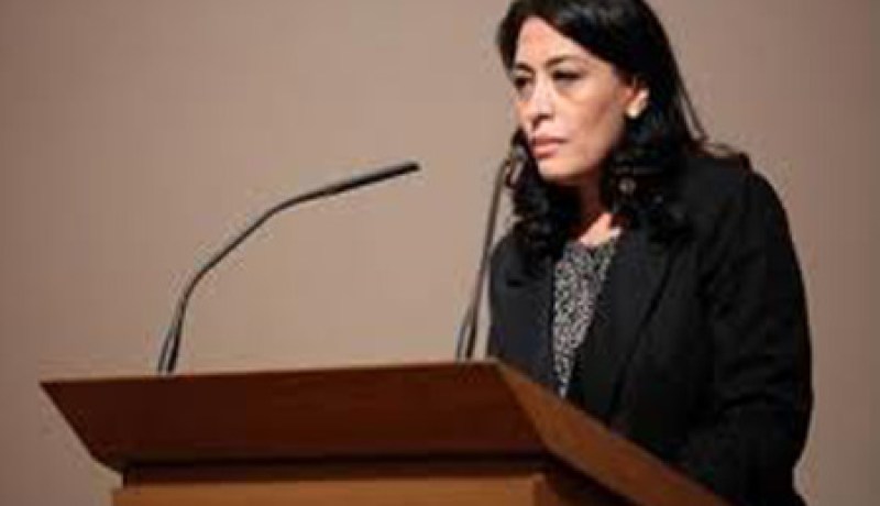 سفيرة سوريا في قبرص لمياء الحريري تنشق عن النظام