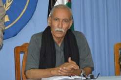 الرئيس الصحراوي يعزي بوتفليقة إثر تحطم الطائرة العسكرية