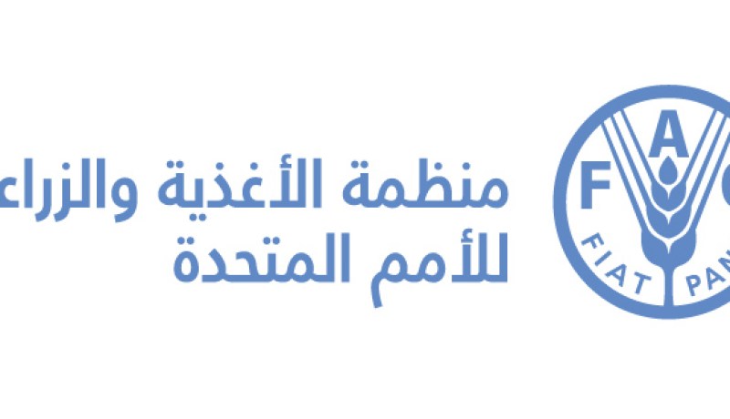 انعدام خطير في الأمن الغذائي بسوريا واليمن