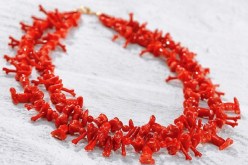 حجز 21 كلغ من المرجان الأحمر داخل سيارة بالطارف 