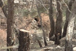 اكتشاف معسكر كبير لتدريب الإرهابيين في جندوبة بتونس