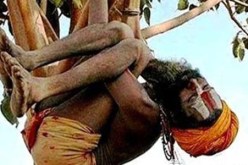 هندي يعيش على شجرة بانتظار اعتذار زوجته