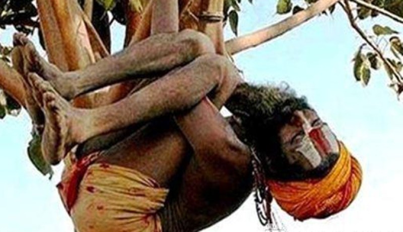 هندي يعيش على شجرة بانتظار اعتذار زوجته