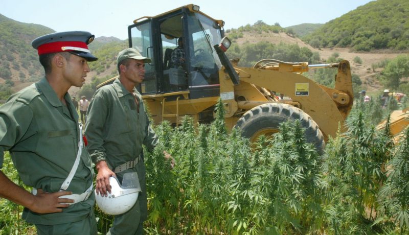 أبواق المخزن تواصل حملتها … “الرباط تحث “الإنتربول” على اعتقال مجرمين جزائريين