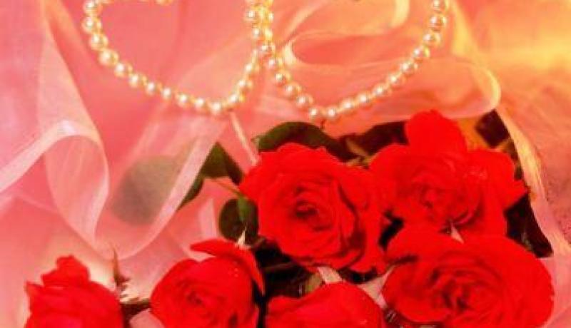 النهار تساعدك على دخول القفص الذهبي