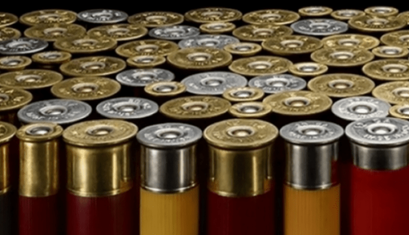 الإطاحة بجماعة إجرامية منظمة مختصة في المتاجرة بالذخيرة مع حجز 1000 خرطوشة