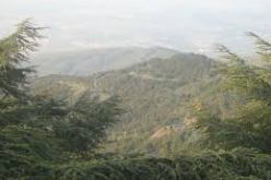 تنصيب الرتل المتنقل على مستوى منطقة بني على الجبلية بجبال الشريعة في البليدة