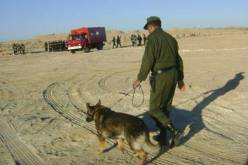 درك وطني : تعزيز جهاز مراقبة حدود الجنوب الغربي للبلاد