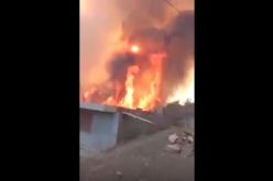 بالفيديو.. حرائق الغابات تمتد إلى العديد من المنازل في تيزي وزو