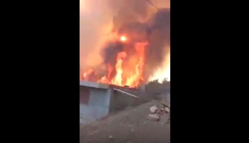 بالفيديو.. حرائق الغابات تمتد إلى العديد من المنازل في تيزي وزو