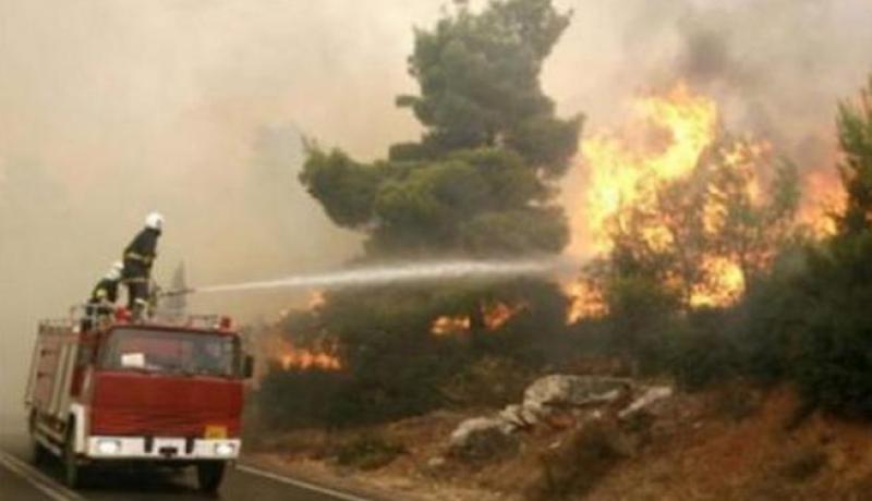 20 مواطنا من تيسمسيلت بلغوا عن الحرائق في 3 أيام الأخيرة