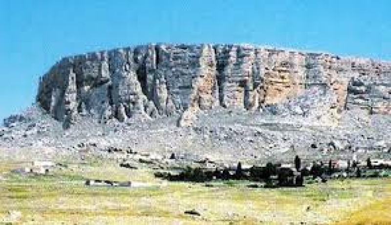 8 فنانين ومحافظ من الجزائر في المعرض الخاص “داك ارت 2014” بشمال افريقيا