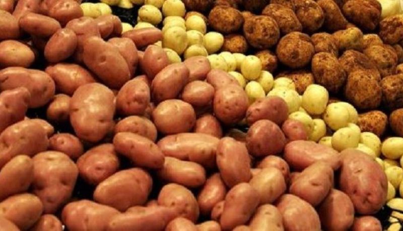 بالصورة.. أثناء إعدادها للطعام  سيدة تعثر على قنبلة وسط البطاطا