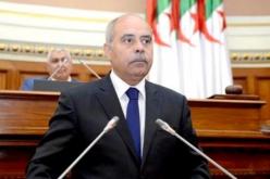 استلام مشروع تحويل المياه من الشط الغربي بالنعامة نهاية 2017