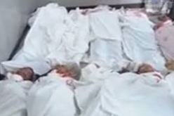 17 قتيلا و258 معتقلا حصيلة مواجهة التظاهرات في مصر