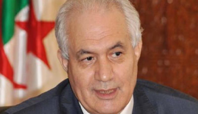 بلعيز: الجزائر اتخذت كل التدابير لعودة الرعايا النيجيريين إلى بلادهم