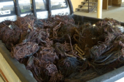 احباط محاولة تهريب 14 قنطارا من النفايات النحاسية نحو المغرب