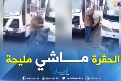 6 أشهر سجنا نافذا لشخصين قاما بضرب وإهانة طفل من احد بلدان الساحل بعنابة