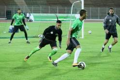 زلزال أو الاعتزال!