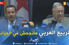 بلقاسم ساحلي: الجزائر هي الدولة الوحيدة التي لم ينجح فيها الربيع العربي