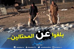 منظمة حماية المستهلك: قارورة لقاح الحمى القلاعية بـ45 ألف دينار!