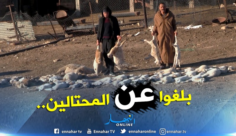 منظمة حماية المستهلك: قارورة لقاح الحمى القلاعية بـ45 ألف دينار!