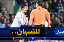 فرحات وعريبي يسقطان بثلاثية أمام ديجون