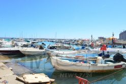 الصيد البحري.. فتح فضاء للمتعاملين الاقتصاديين بمجال التصدير لضمان الشراكة مع الأجانب