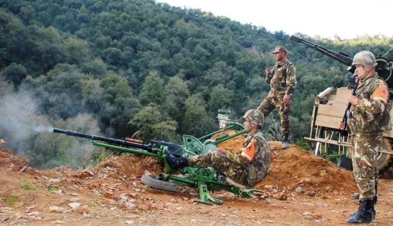 توقيف 4 عناصر دعم للإرهاب و99 بارون مخدرات شهر أوت