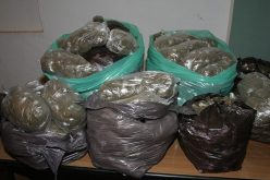 حجز 2000 كيس من الشمة في عين الذهب بتيارت