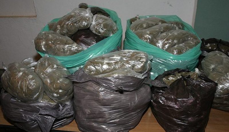 حجز 2000 كيس من الشمة في عين الذهب بتيارت