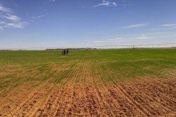 لا دراسات لمشاريع فلاحية من دون مكاتب معتمدة من طرف الدولة