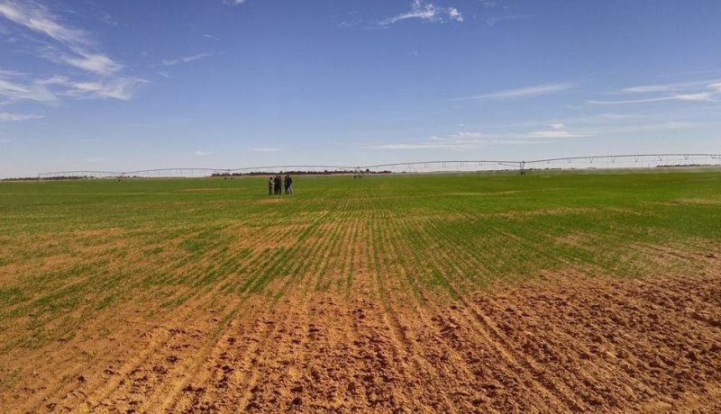 لا دراسات لمشاريع فلاحية من دون مكاتب معتمدة من طرف الدولة