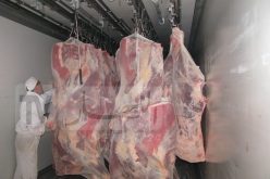 لا رخص لاستيراد اللحوم إلا بعد تحديد الحكومة للشروط