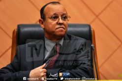 ناصري.. لجنة تفتيش من 120 مهندسا للوقوف على سلامة المنشآت الفنية في بجاية