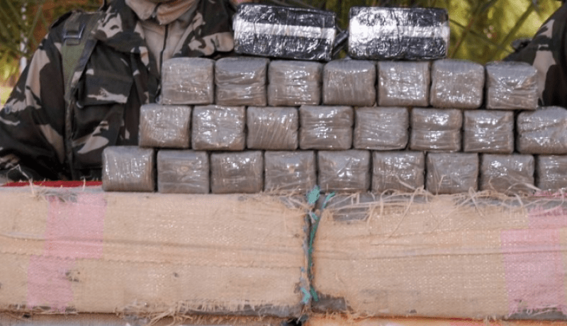 توقيف 18 بارون مخدرات وحجز أزيد من 5 قناطير زطلة