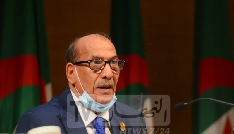 فنيش.. مسار الرقمنة في الجزائر ليس وليد الظروف الناجمة عن كورونا