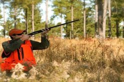 الغابات.. منح أكثر من 12 ألف رخصة صيد على المستوى الوطني