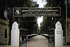 تنصيب الأستاذة ويزة شريفي مديرة للمدرسة الوطنية العليا للفلاحة