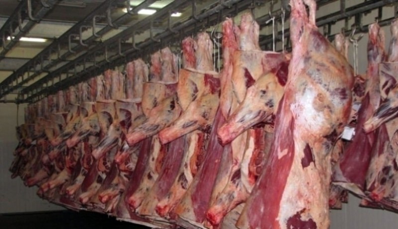 حجز 260 كلغ من اللحوم الفاسدة موجهة لسجن عين أزال في سطيف!